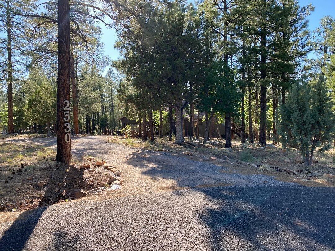 2530 Ruidoso Drive  Happy Jack AZ 86024 photo