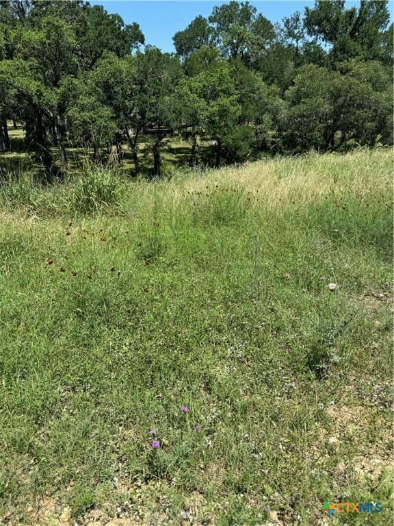 Property Photo:  4602 Fm 1107  TX 78160 