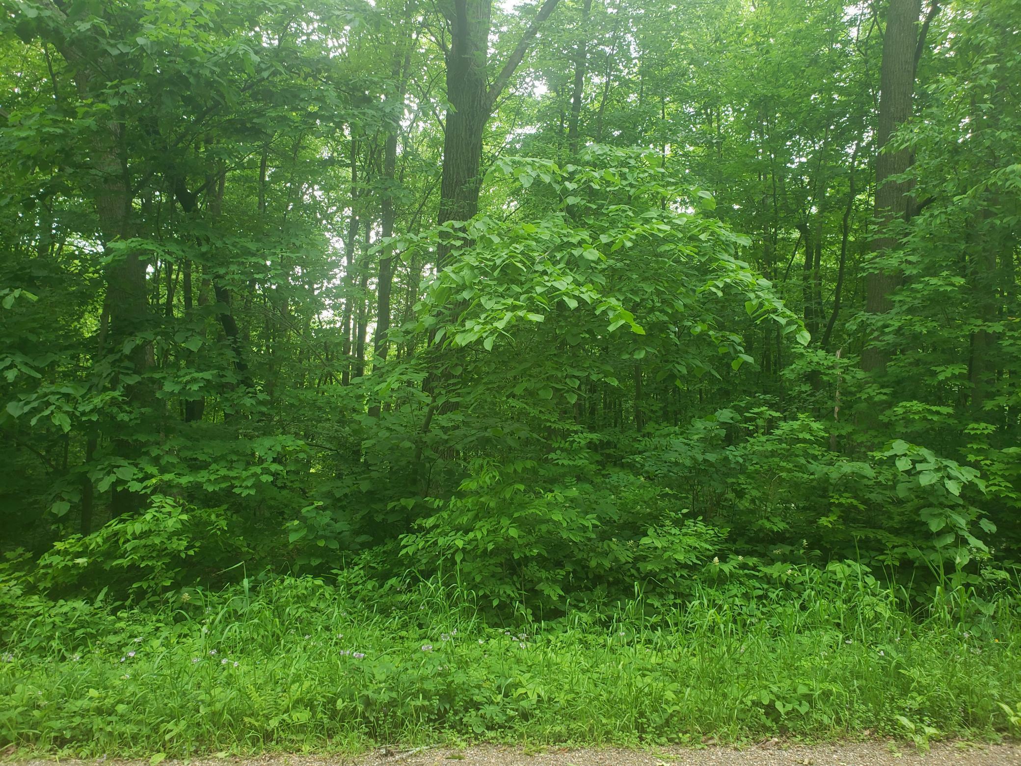 Property Photo:  Xxx Summit Rd  MN 56359 