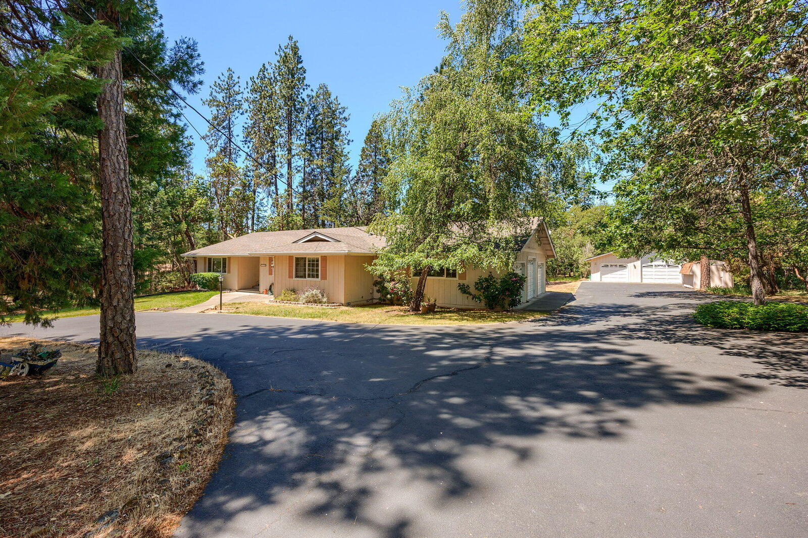 Property Photo:  154 Hoffman Way  OR 97526 