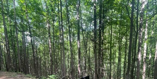 Property Photo:  Lot 15 Sugar Maple Loop Rd  TN 37876 