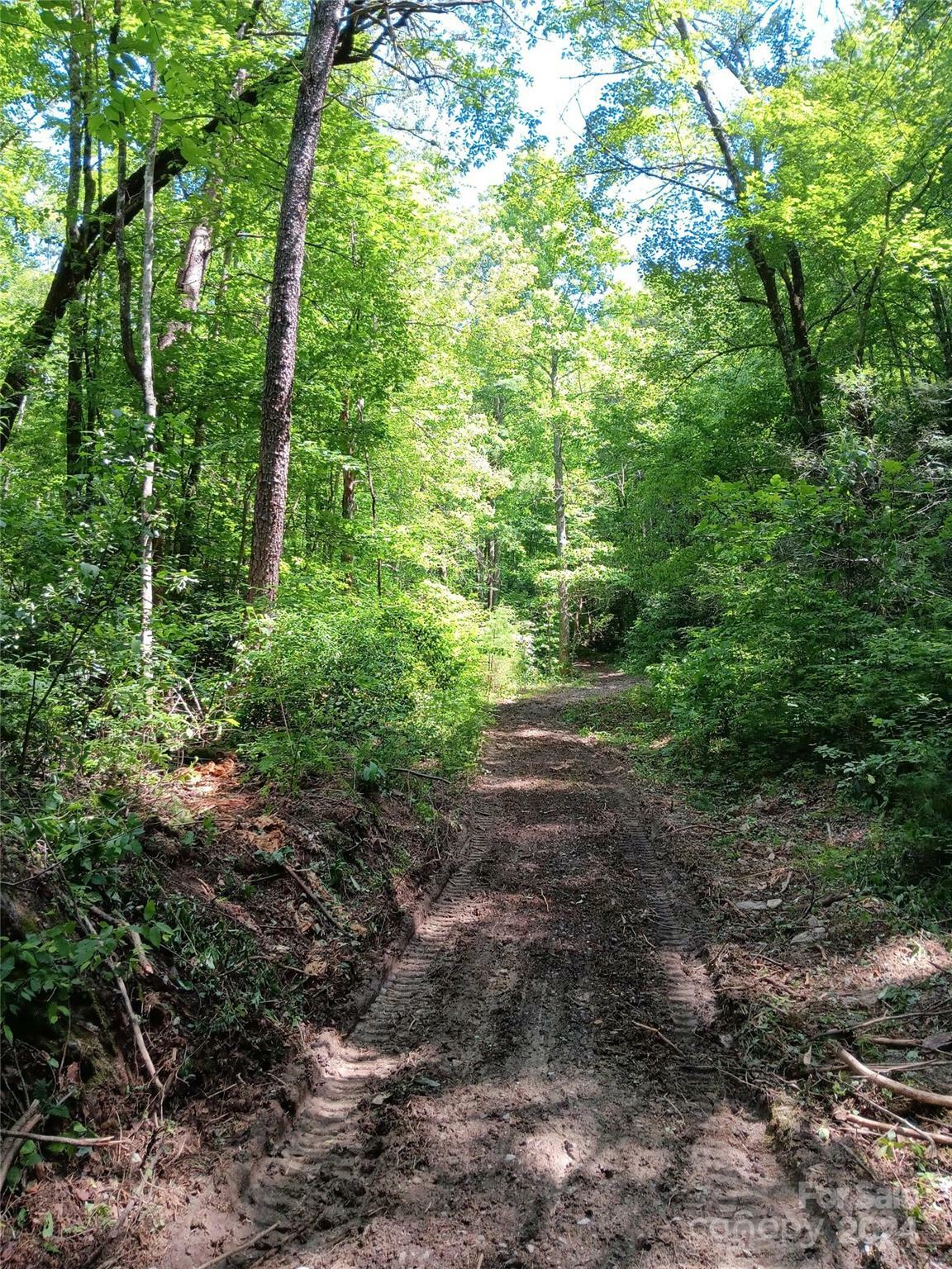 0 Bobs Creek Road  Zirconia NC 28790 photo