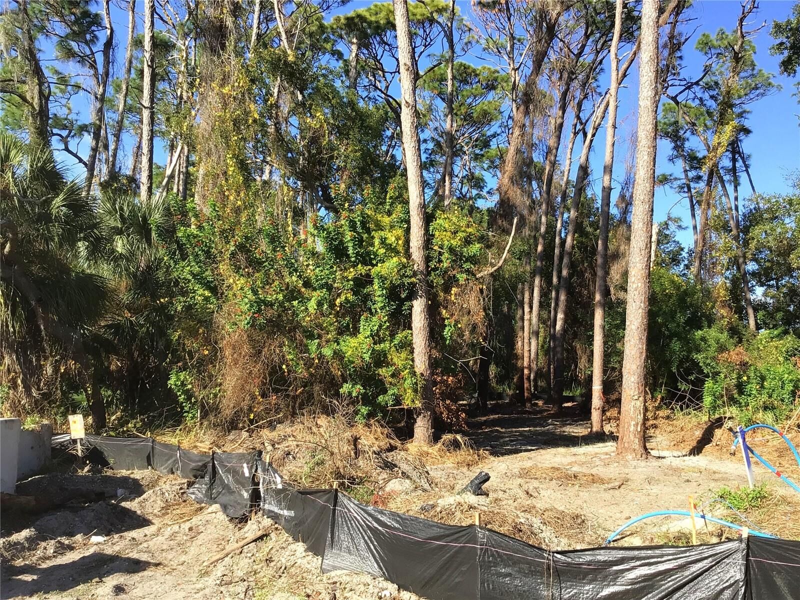 Property Photo:  1289 Almaria Court  FL 34683 