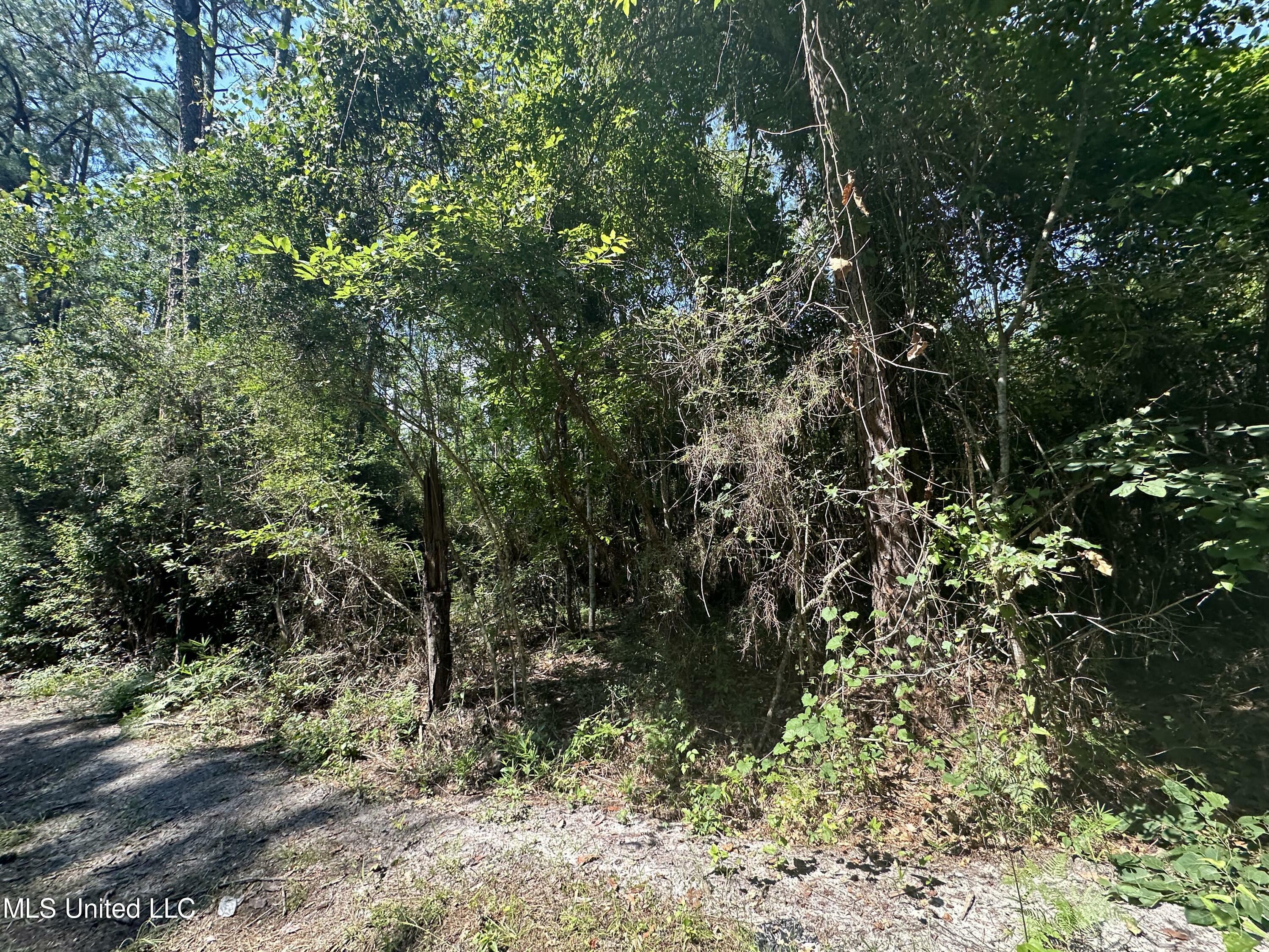 Lot 2634 Sycamore Street  Ocean Springs MS 39564 photo