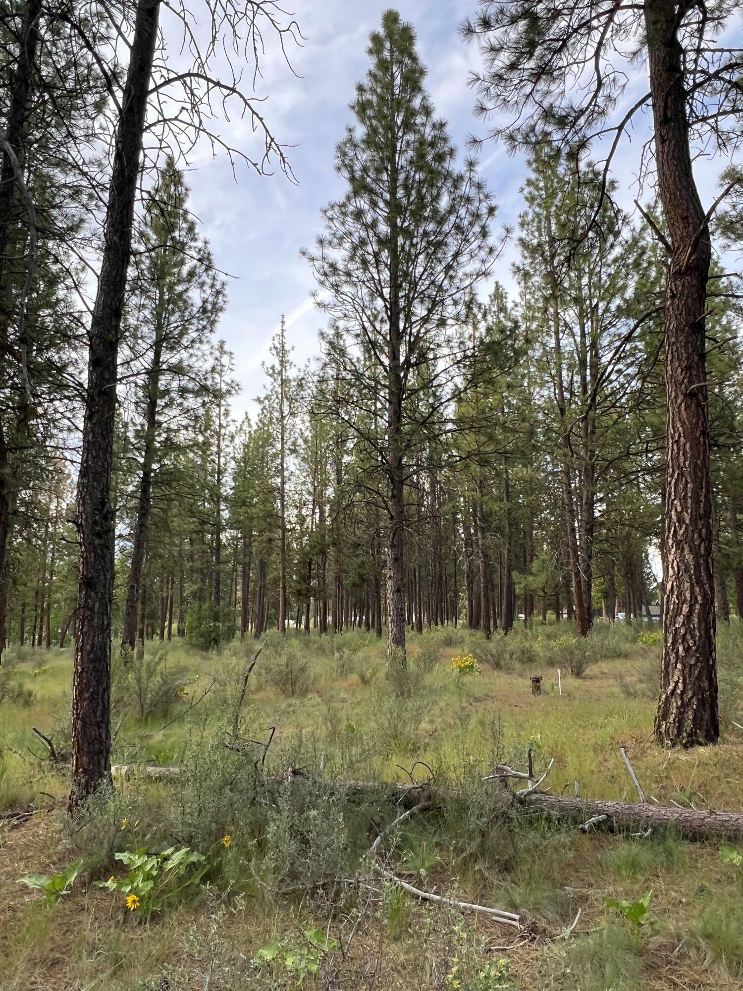 Property Photo:  Pine Meadow Village Lot 12  OR 97624 