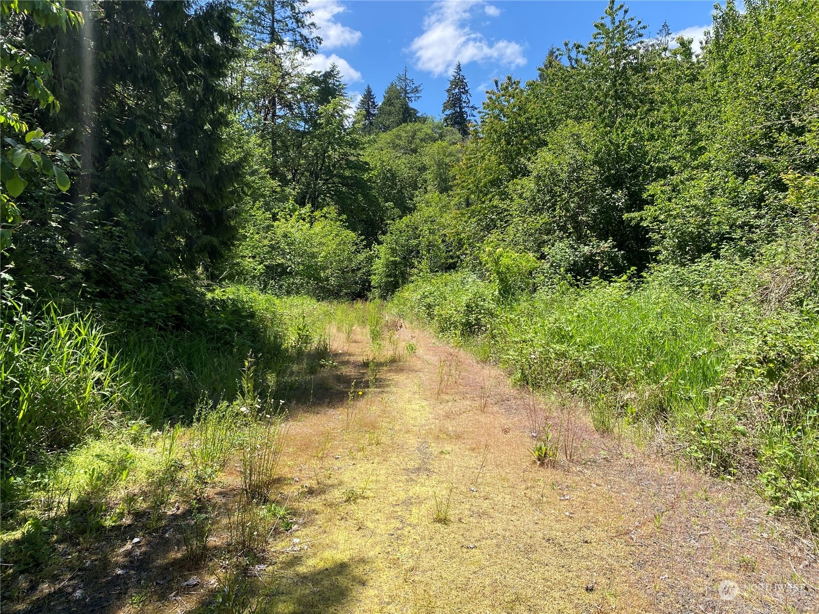 Property Photo:  0 Lot 1 Roe Road  WA 98596 