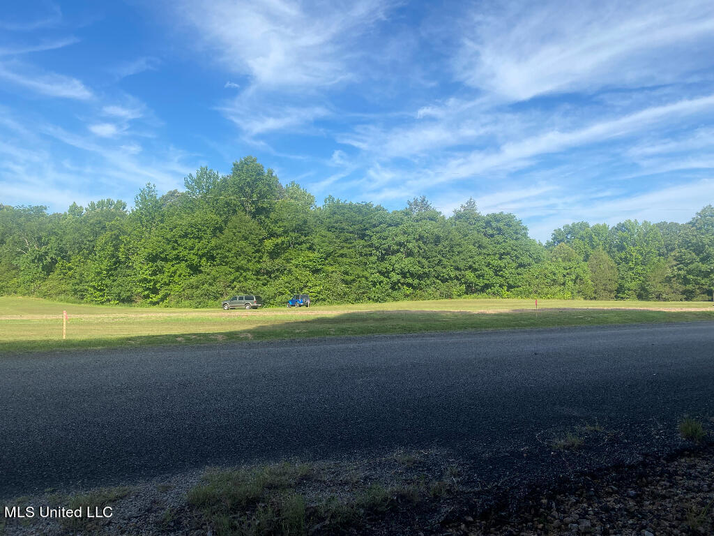 710 Rowell Road  Coldwater MS 38618 photo