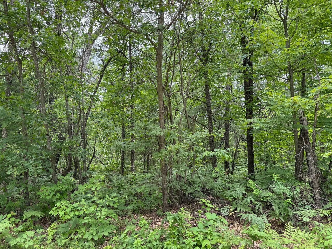 Property Photo:  Lot 33 Highland Trail  MI 48629 