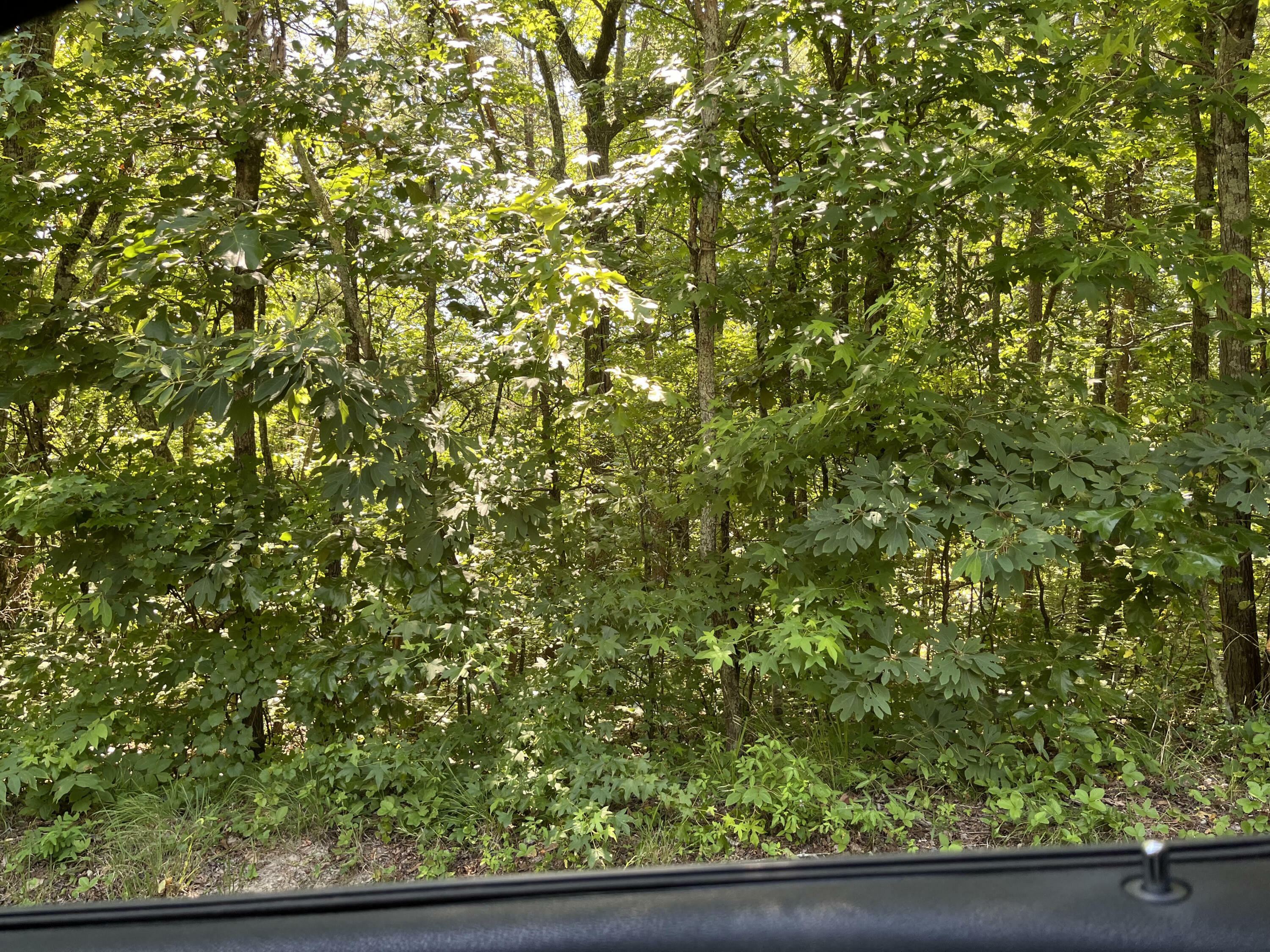 Property Photo:  9811 Lovell Rd  TN 37379 