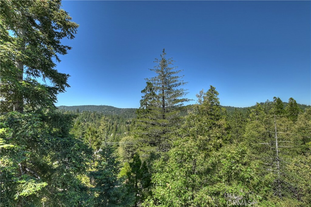 Property Photo:  369 Pioneer Road  CA 92352 