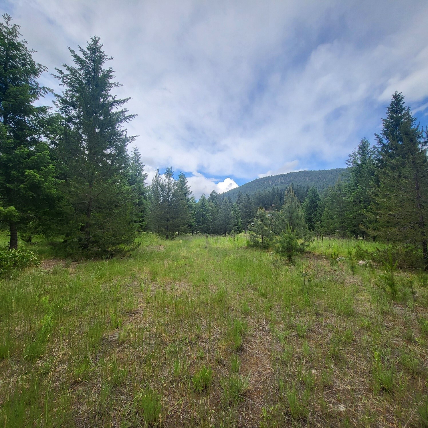 Property Photo:  Nhn Fairview Drive  MT 59866 