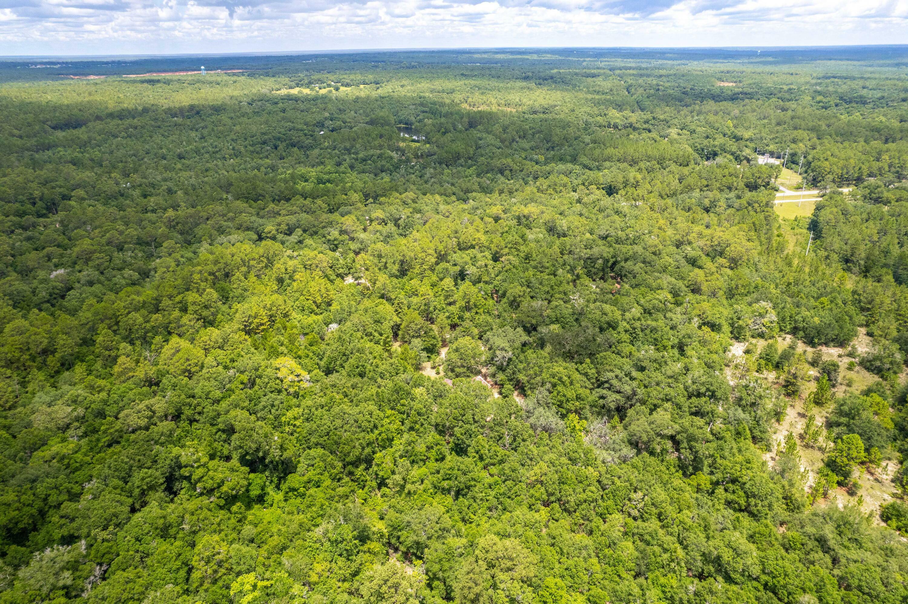 Property Photo:  12.95 Ac W Highway 90  FL 32531 