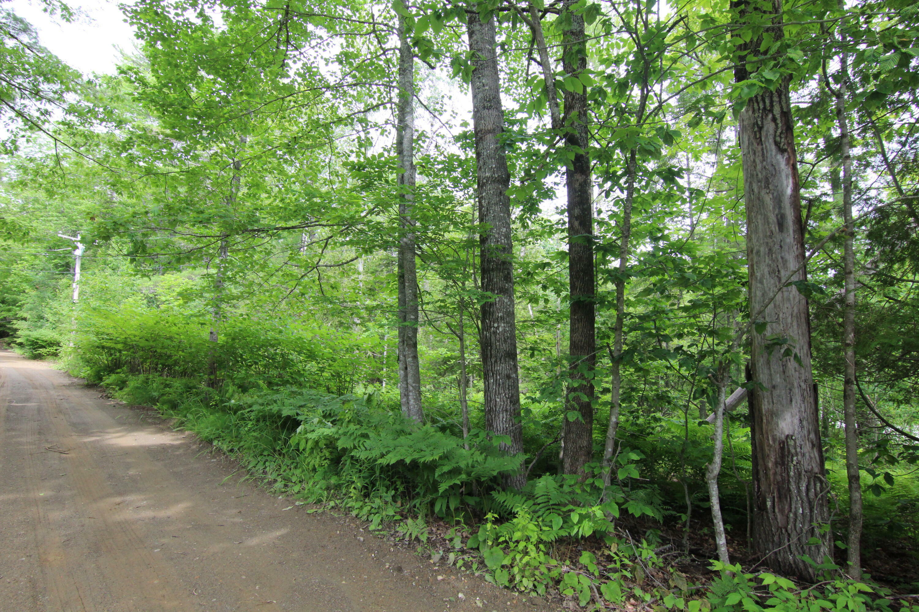 Property Photo:  Lot 37C Brewer Lake Road  ME 04474 