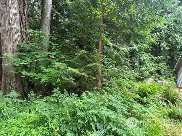 Property Photo:  353 Sudden Valley Drive  WA 98229 