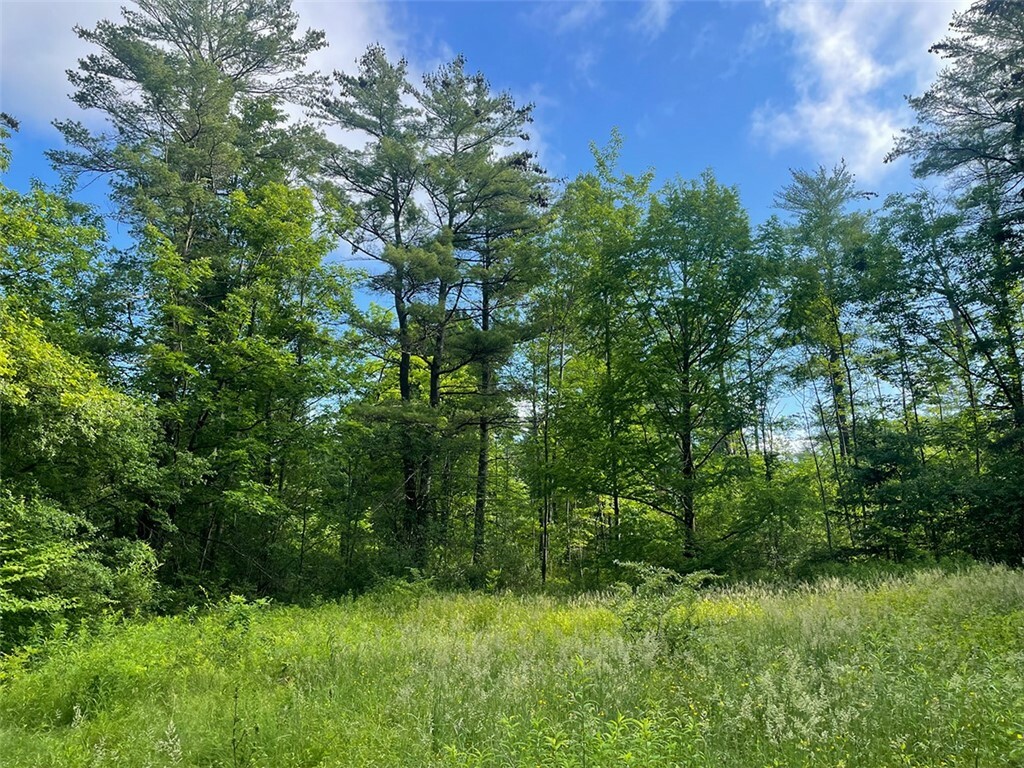 Property Photo:  52 Turkey Hill Road  NY 14850 