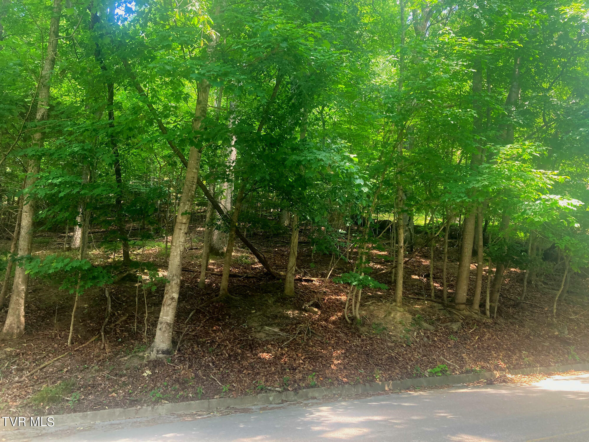 Lot 3 Lakeshore Road  Bluff City TN 37618 photo