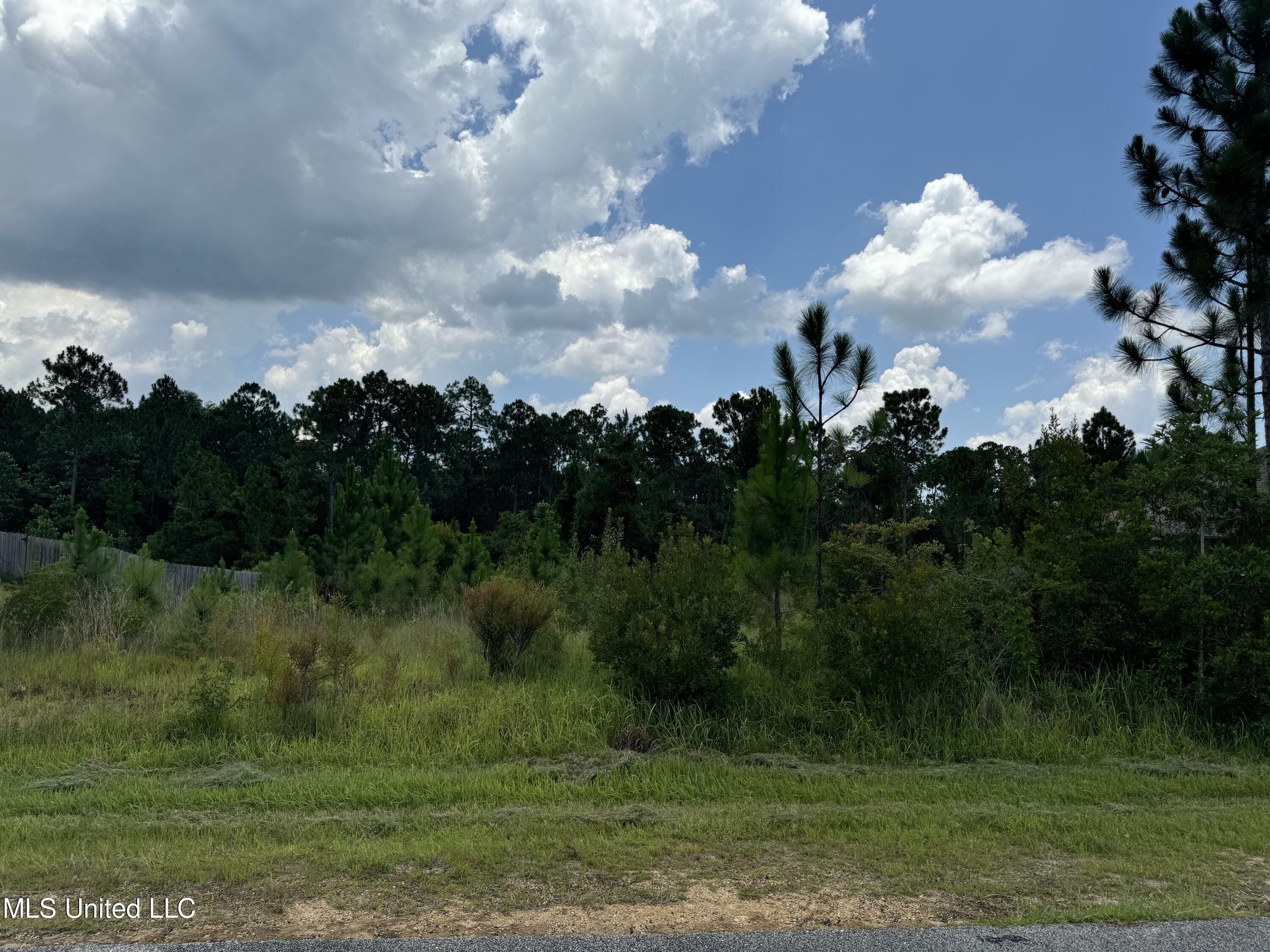 Property Photo:  Longwood Lane  MS 39503 