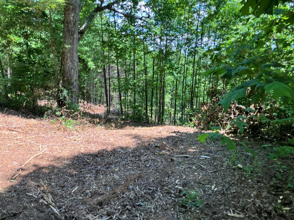 Property Photo:  13 View Ridge Trail  NC 28906 