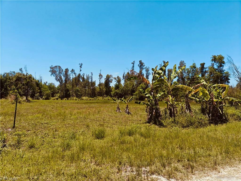 Property Photo:  5577 Royal Okley Ln  FL 33922 