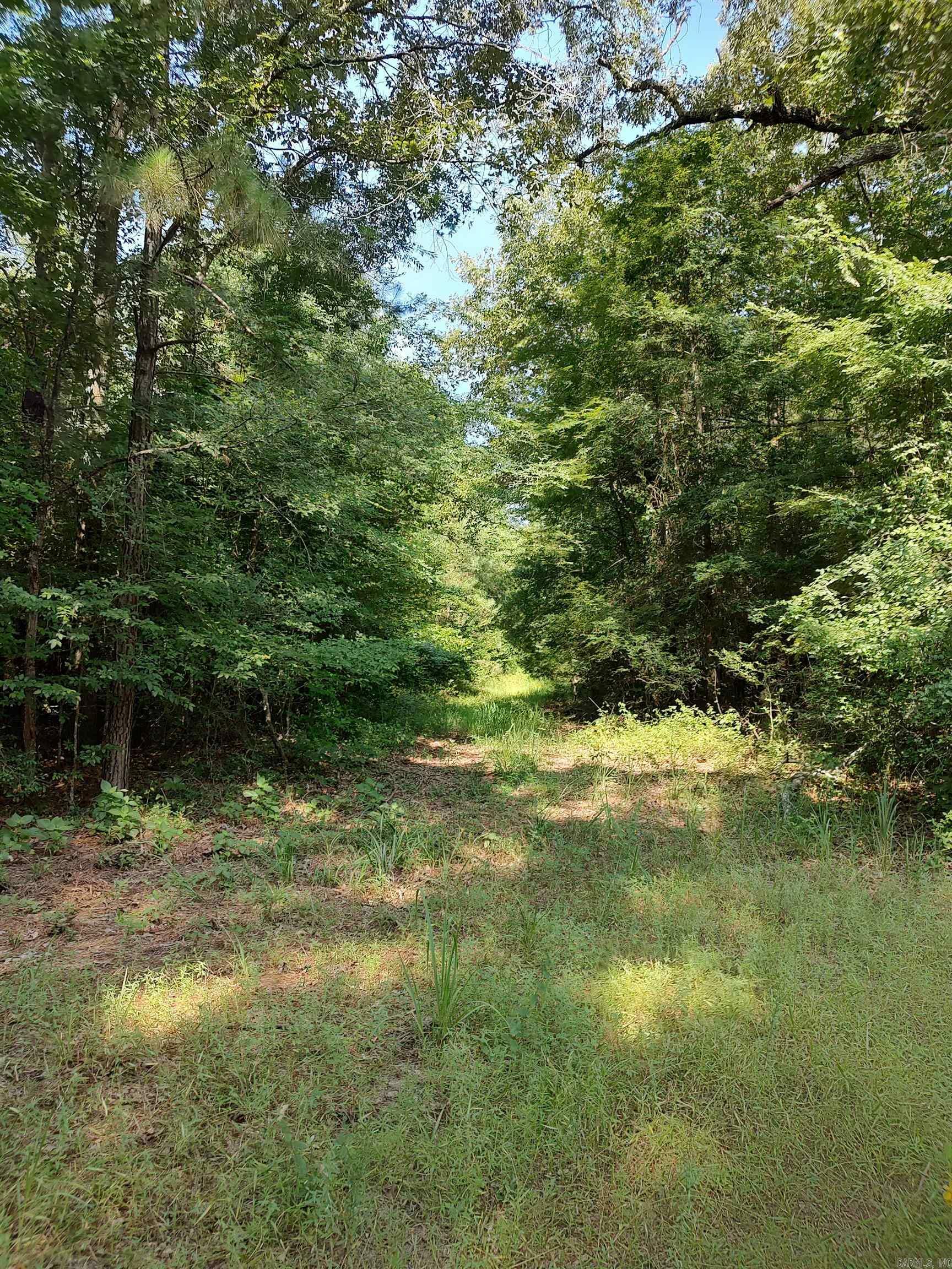 Property Photo: 80 Acres Calhoun 199 Road AR 71744
