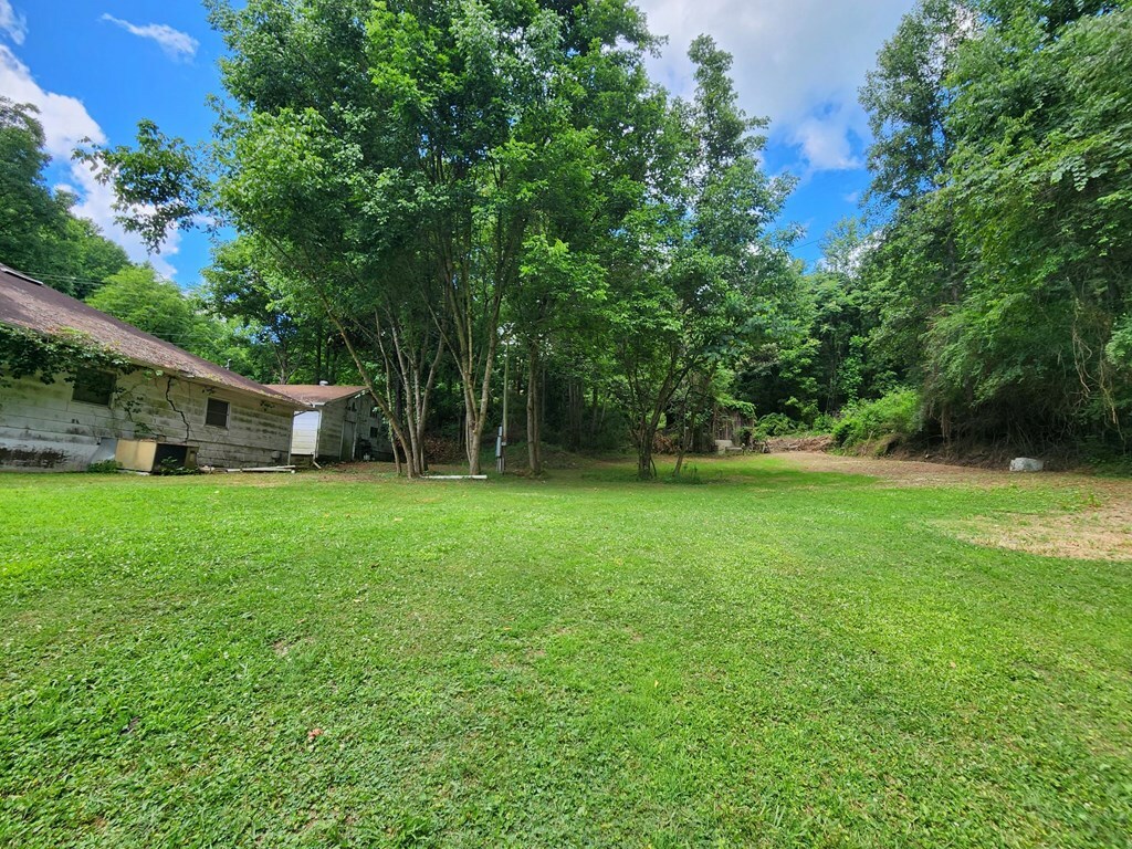 Property Photo:  350 Lykins Crk  KY 41501 
