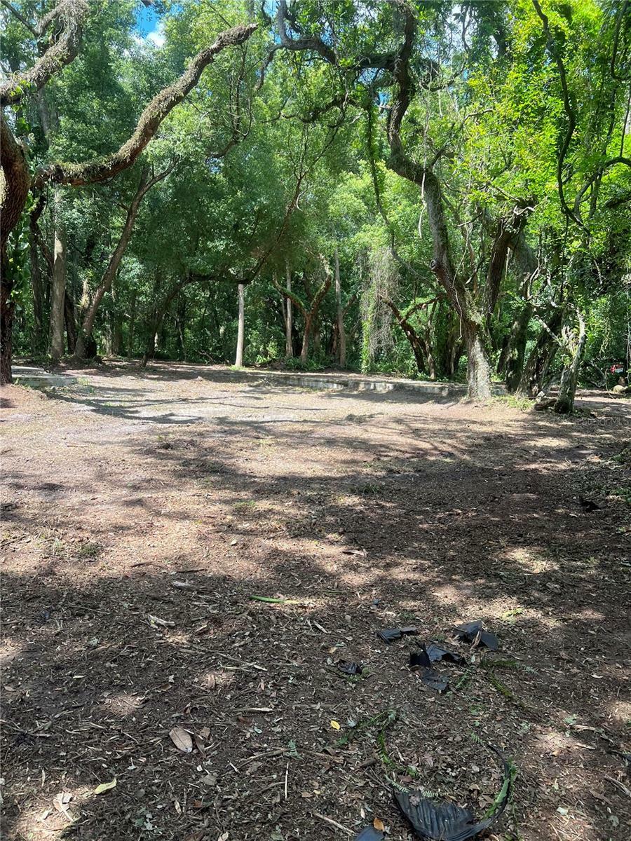 Property Photo:  7415 20th Street  FL 33540 