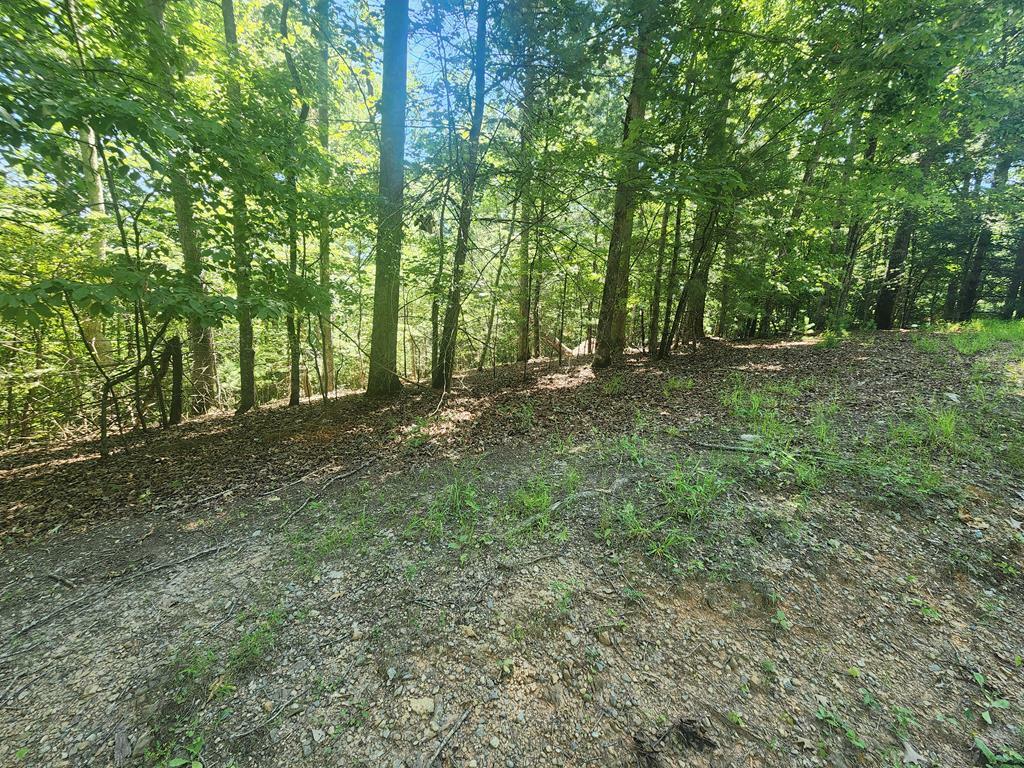 Lot 3 Meadow View Drive  Morganton GA 30560 photo