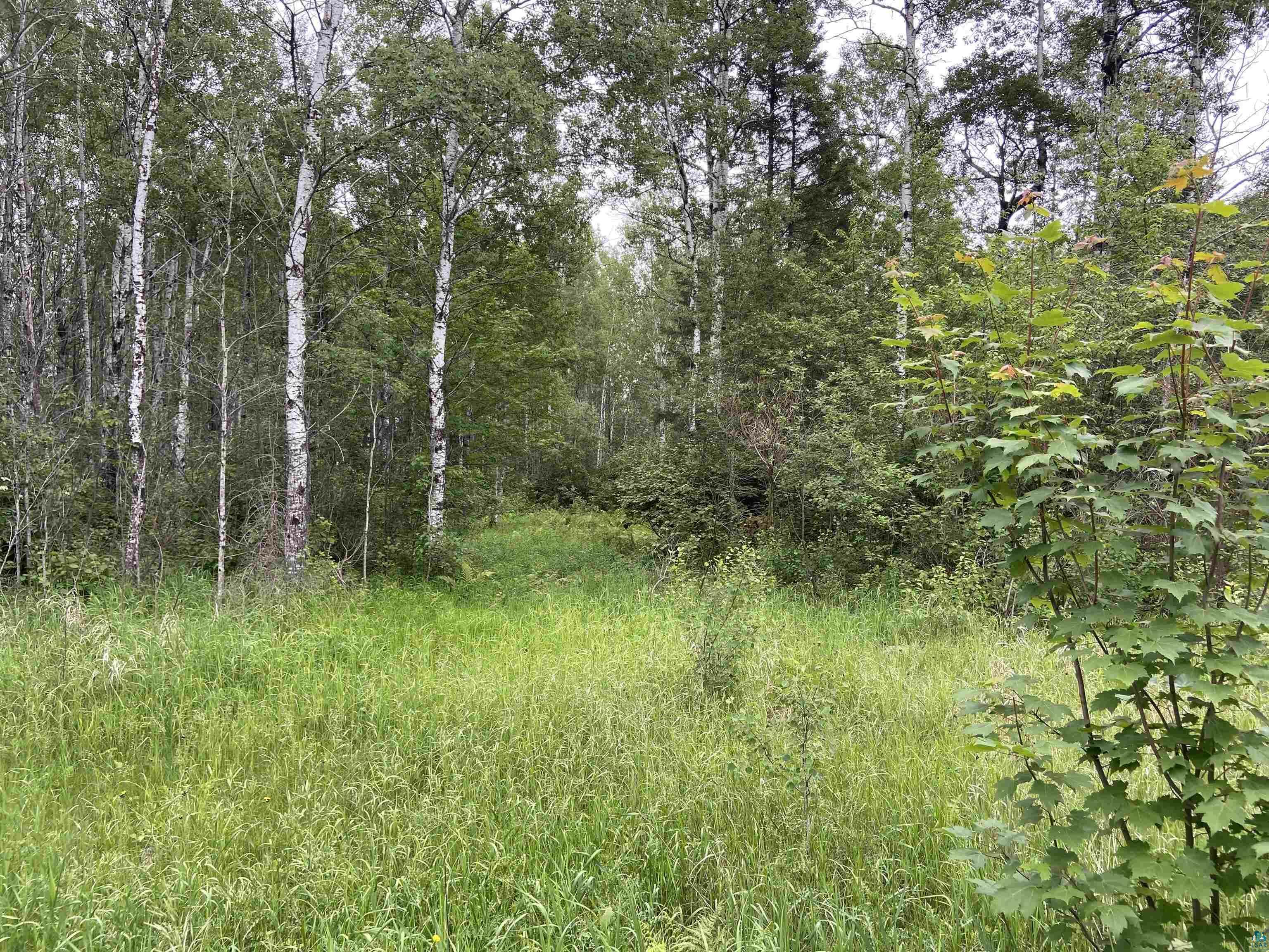 Property Photo:  6468 Murphy Lake Rd  MN 55602 