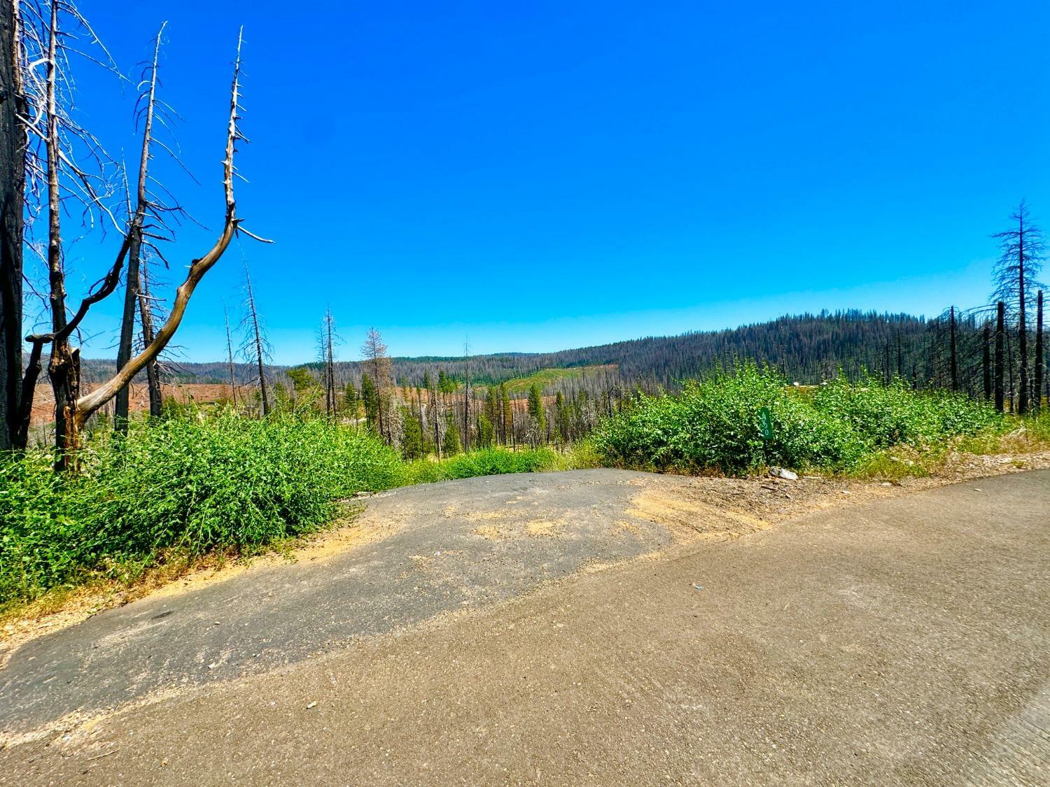 Property Photo:  6700 Tyler Drive  CA 95636 