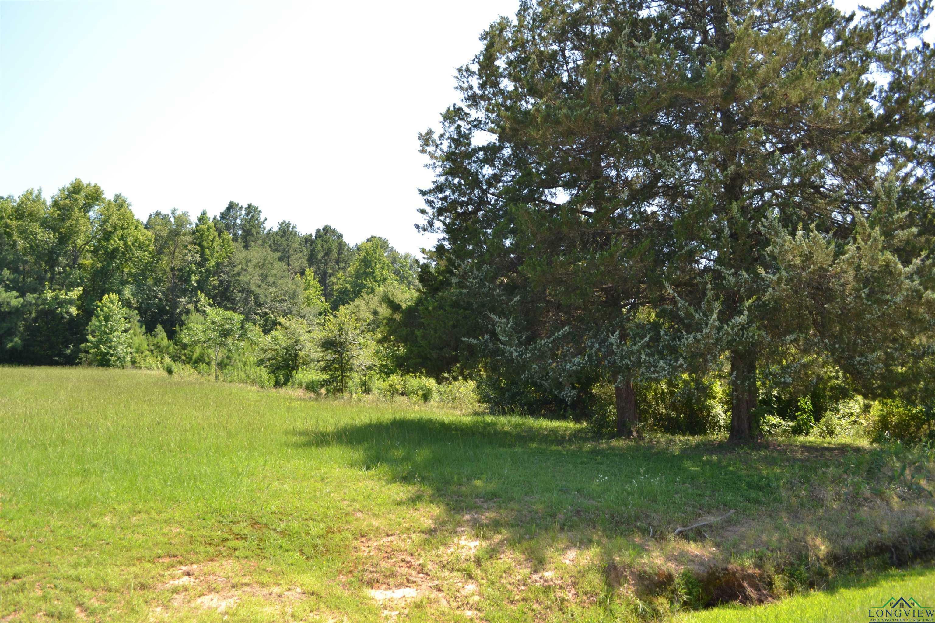 Property Photo:  Tbd Hidden Falls Rd  TX 75645 