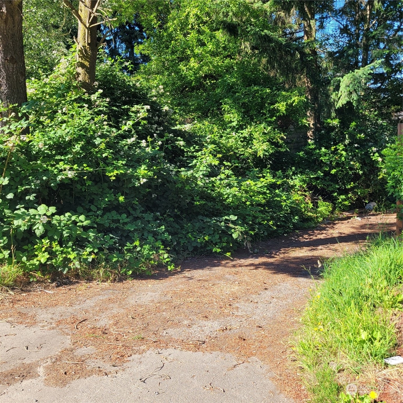 Property Photo: 30628 34th WA 98001