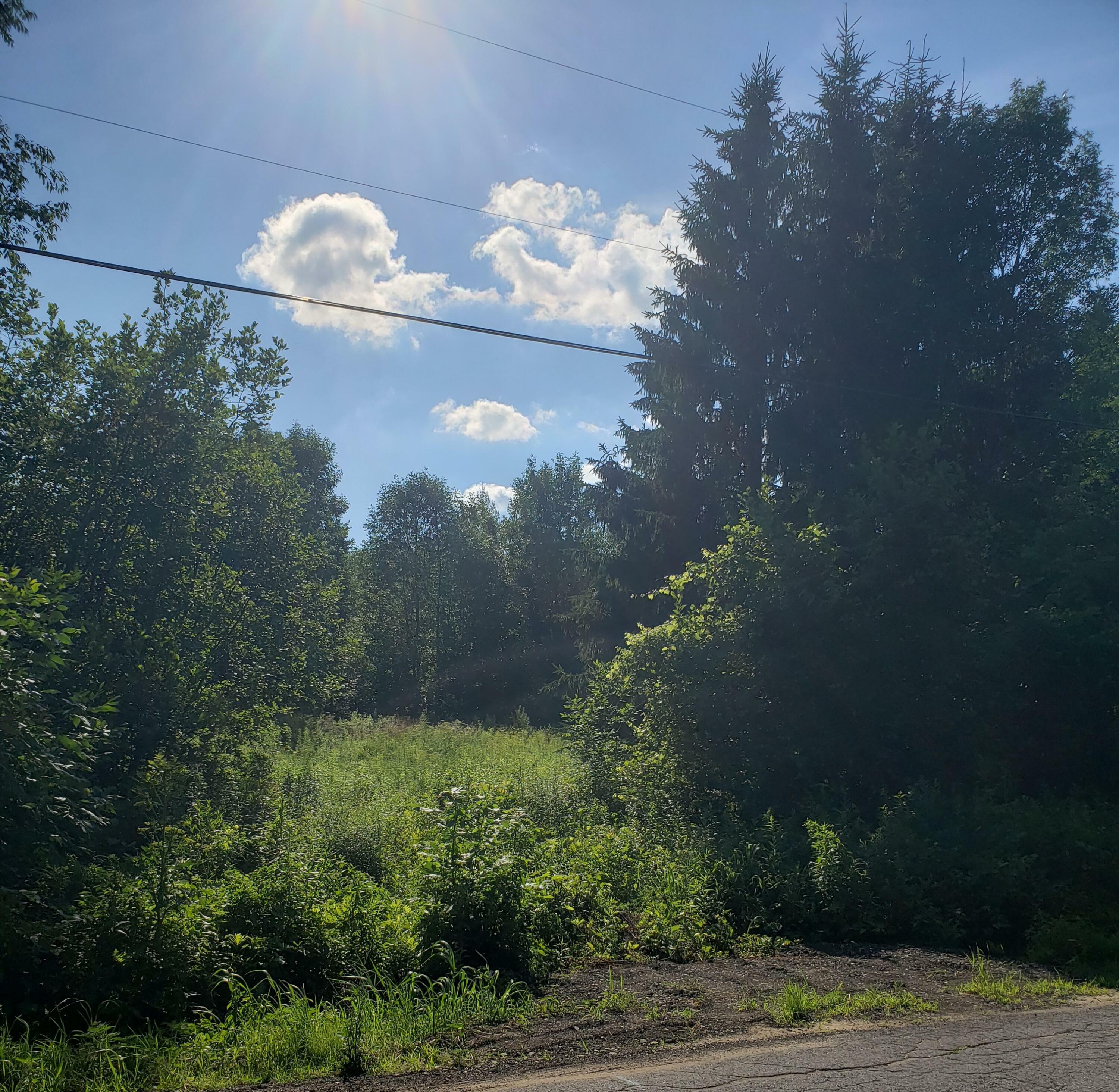 Property Photo:  0 Broad Road  NY 12914 