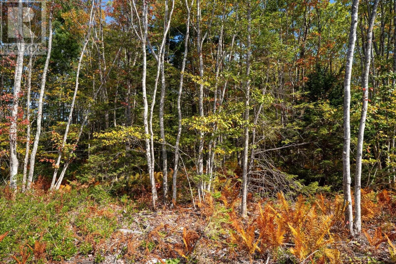 Property Photo:  68 Morton Drive  NS B0T 1K0 