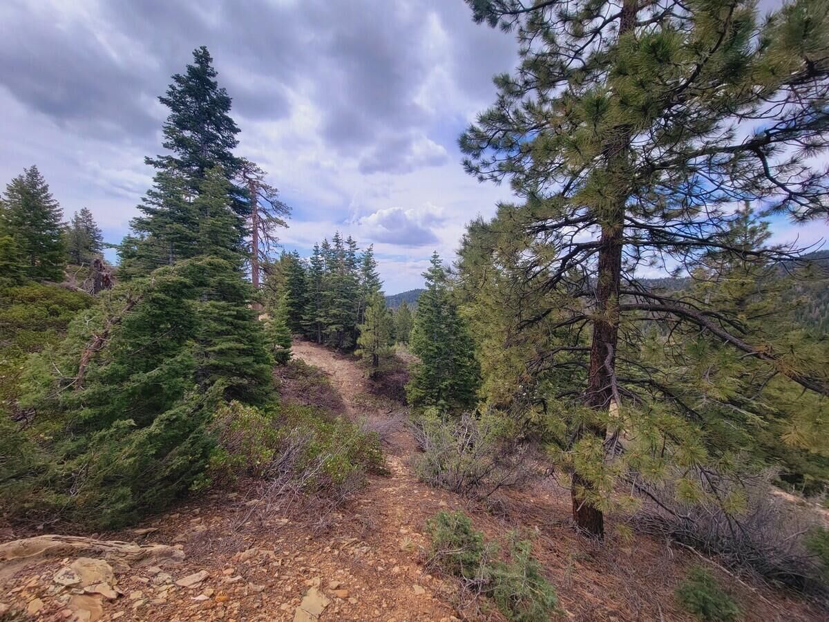 Property Photo: 56&57&58 Sky Haven Mtn Retreat Un 2 UT 84762