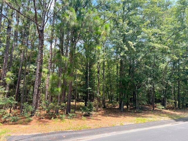 Property Photo:  Lot 2 Fairway Lane  SC 29812 