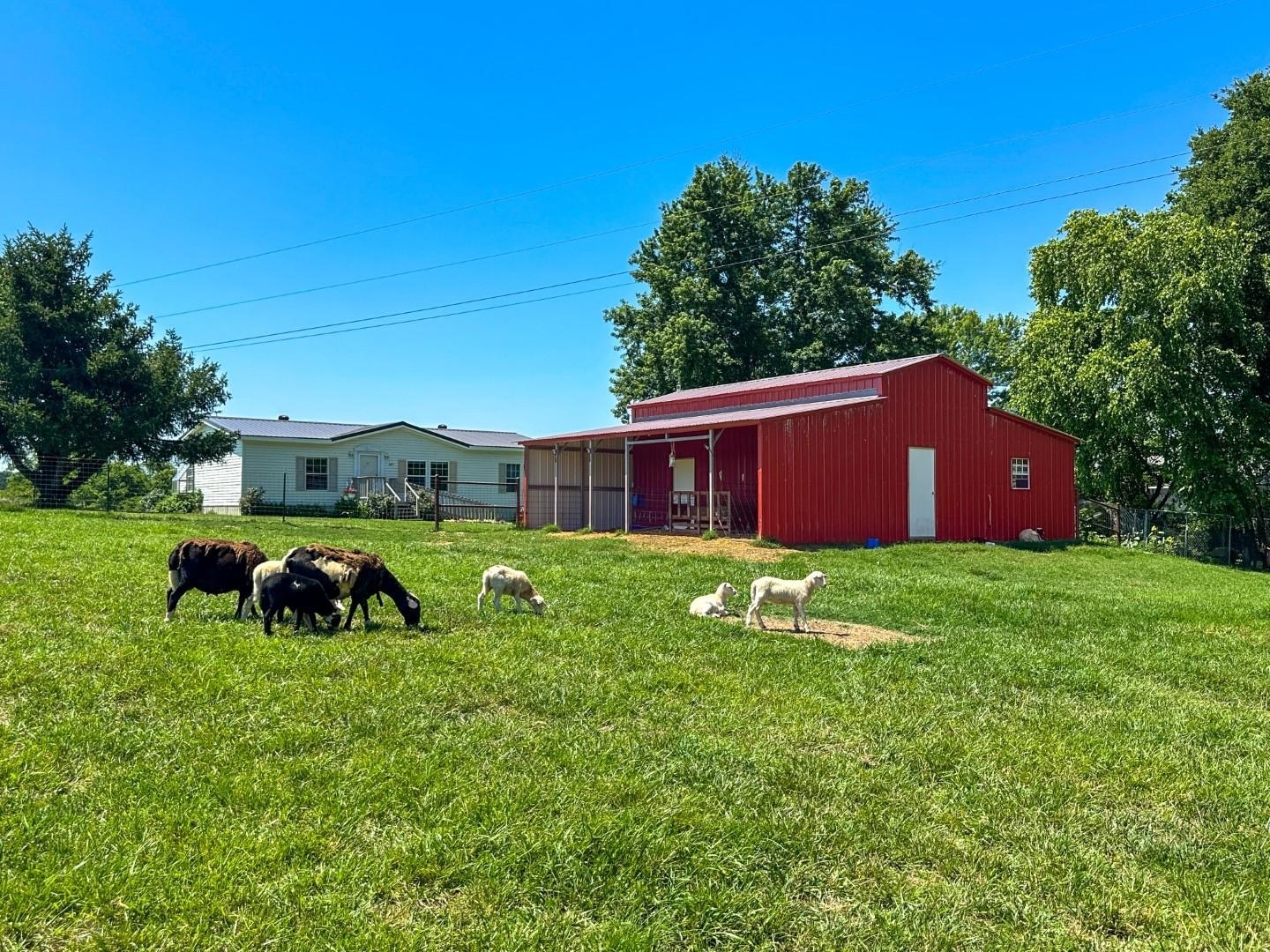 Property Photo: 351 Township Road AR 72455