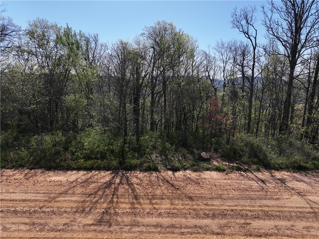 Property Photo:  Tbd Bidville Road  AR 72959 