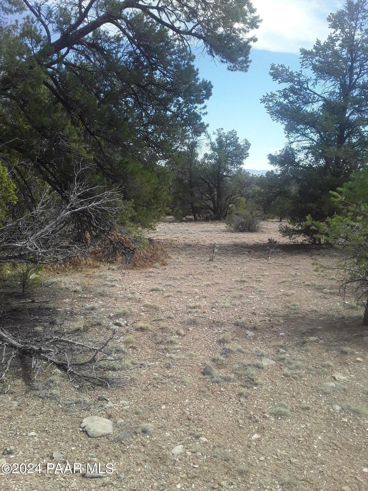 Property Photo:  31690 W Dulce Lane  AZ 86337 