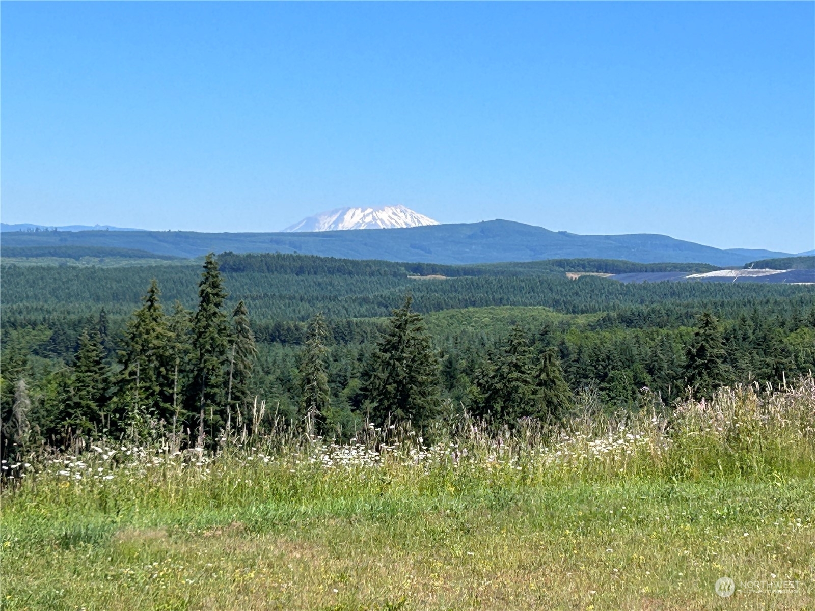 Property Photo:  520 Red Hawk Drive  WA 98611 