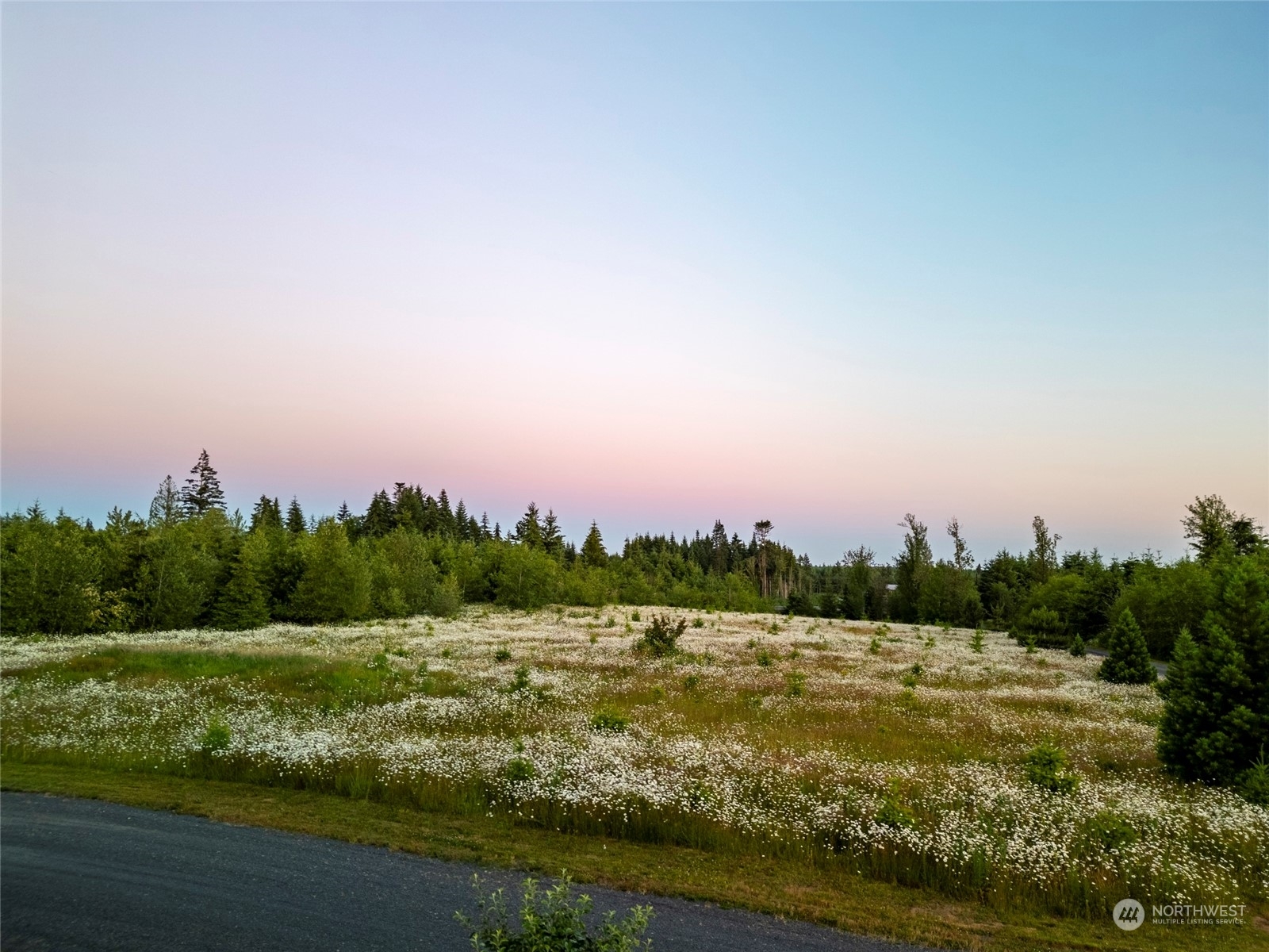 Property Photo:  913 Centralia Alpha Road  WA 98532 