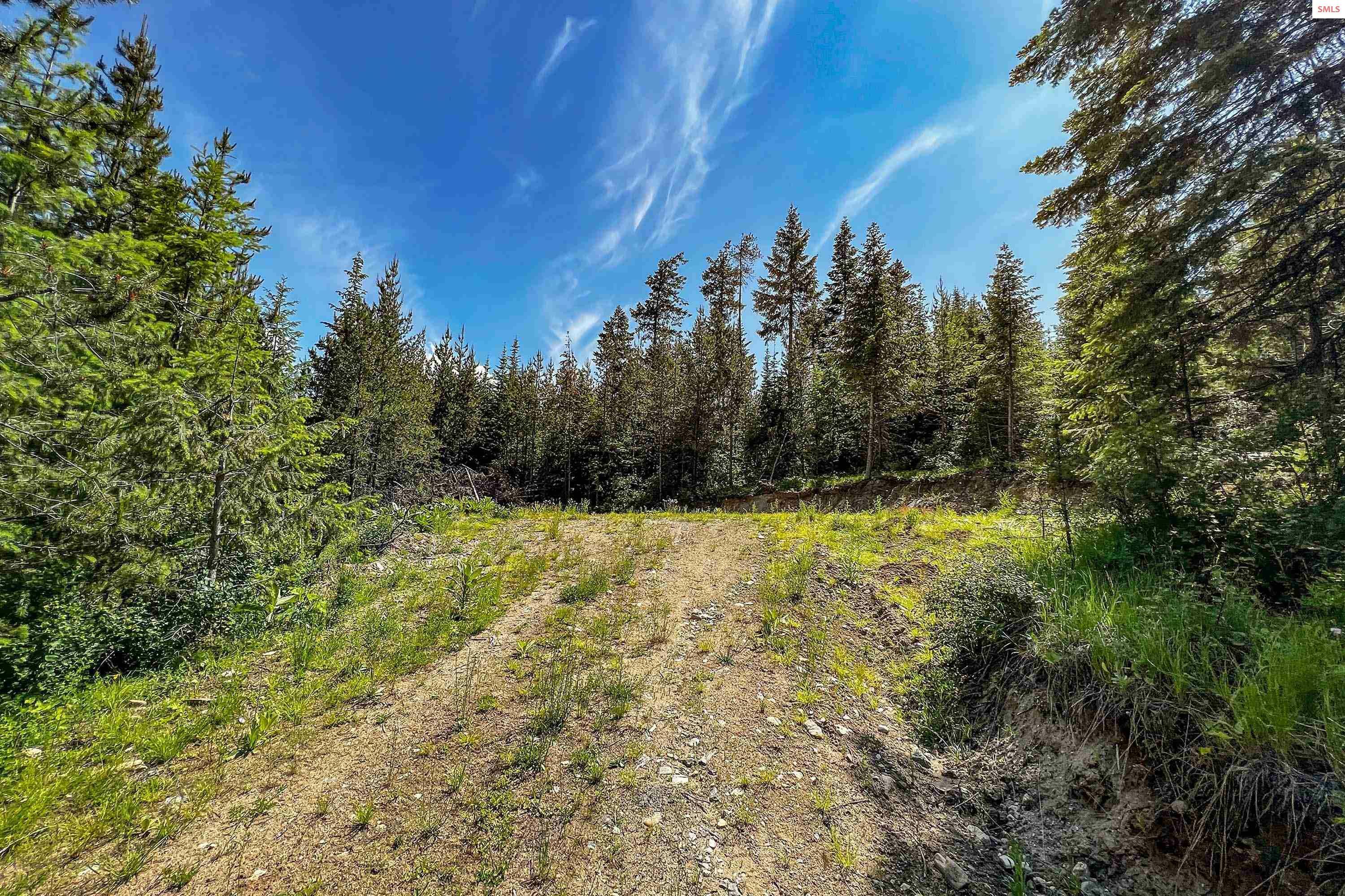 Property Photo:  Nka (Lot 4) Breckenridge Rd  ID 83856 