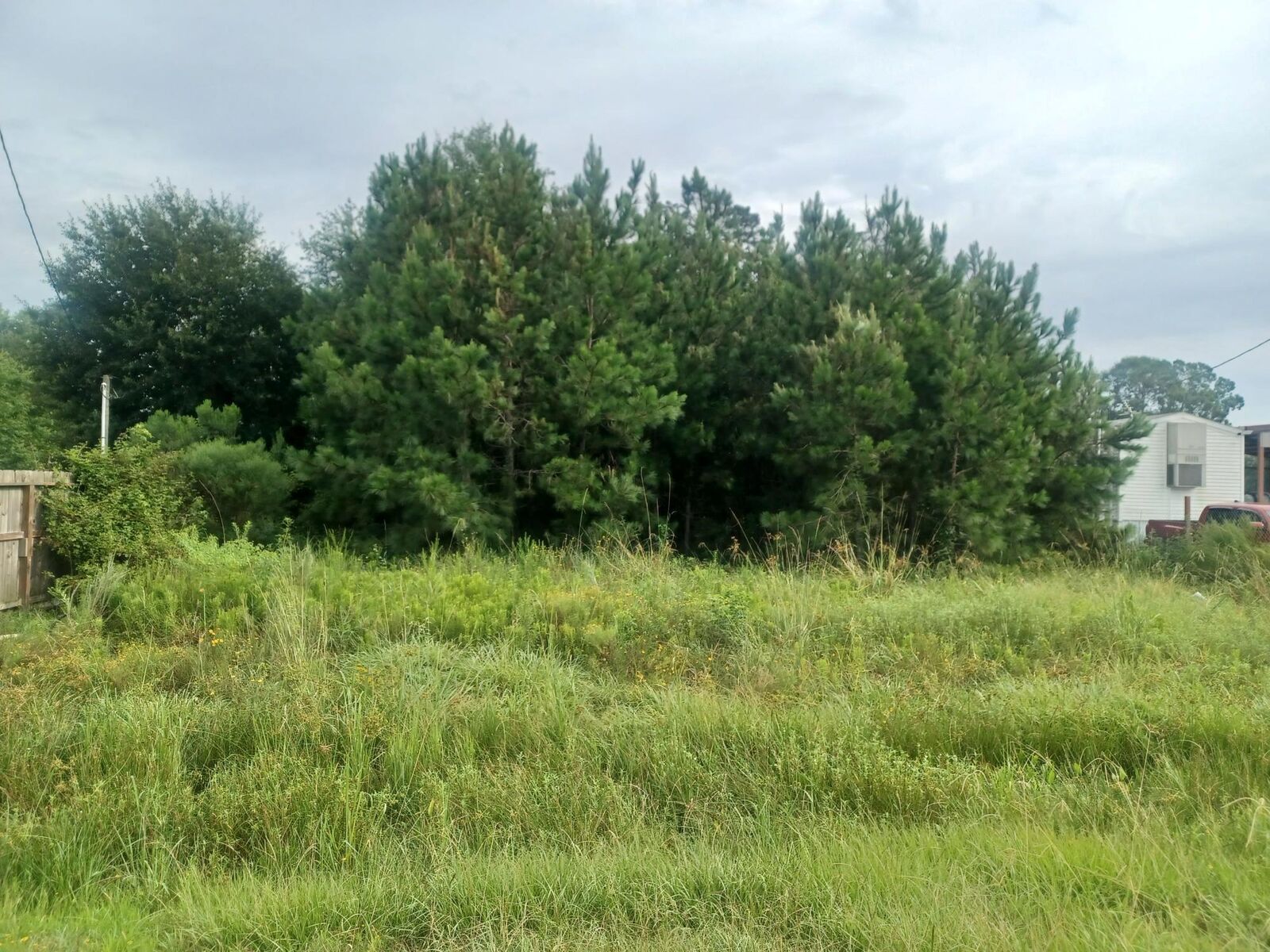 Property Photo: 179 County Road 3550 TX 77327
