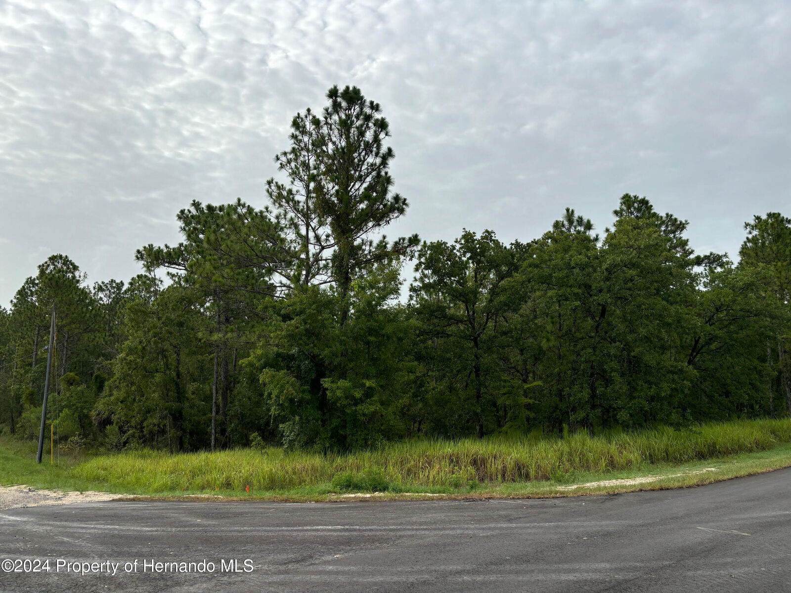 Property Photo:  Lot 1 Penn State Road  FL 34614 