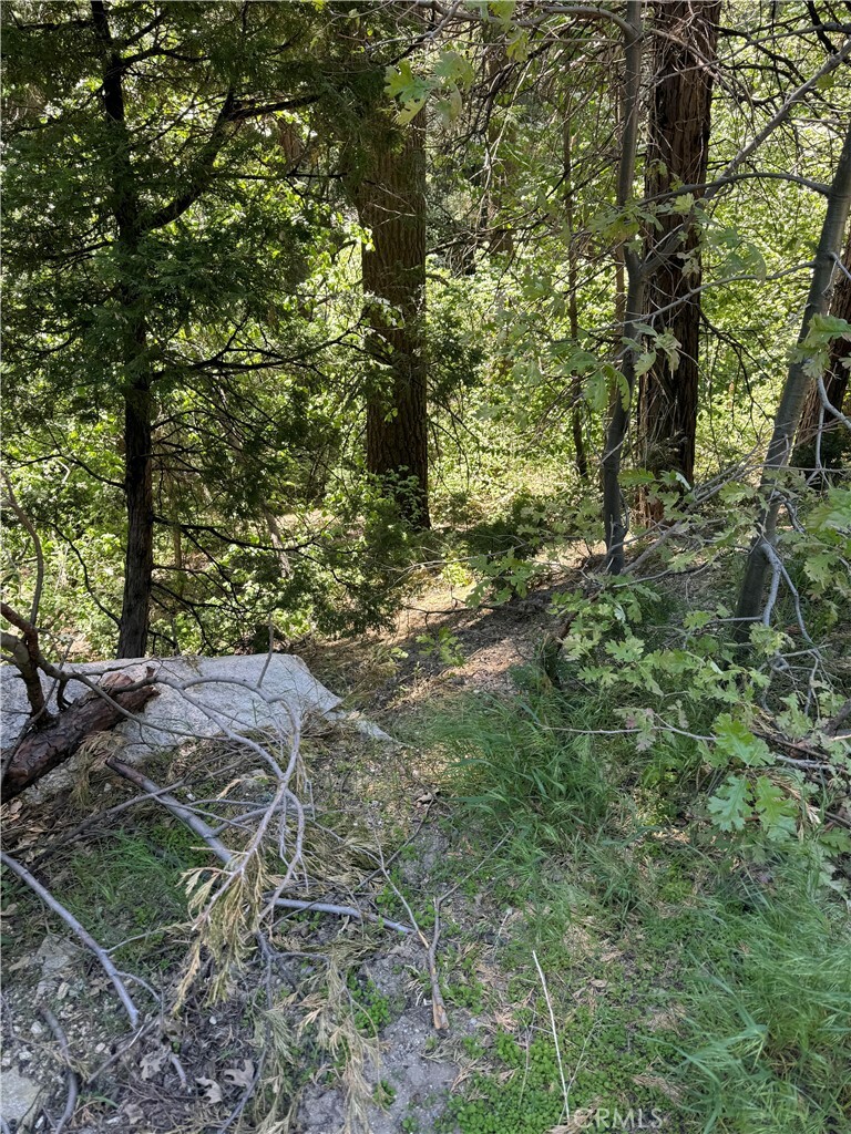 Property Photo:  0 Kuffel Canyon Road  CA 92352 