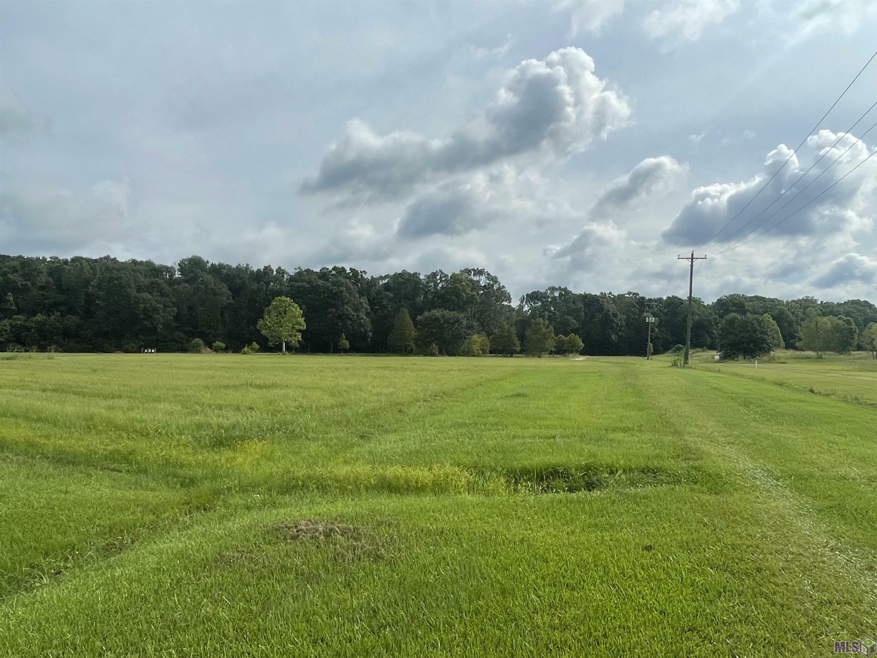 Property Photo:  11603 Greenwell Springs-Port Hudson Rd  LA 70791 
