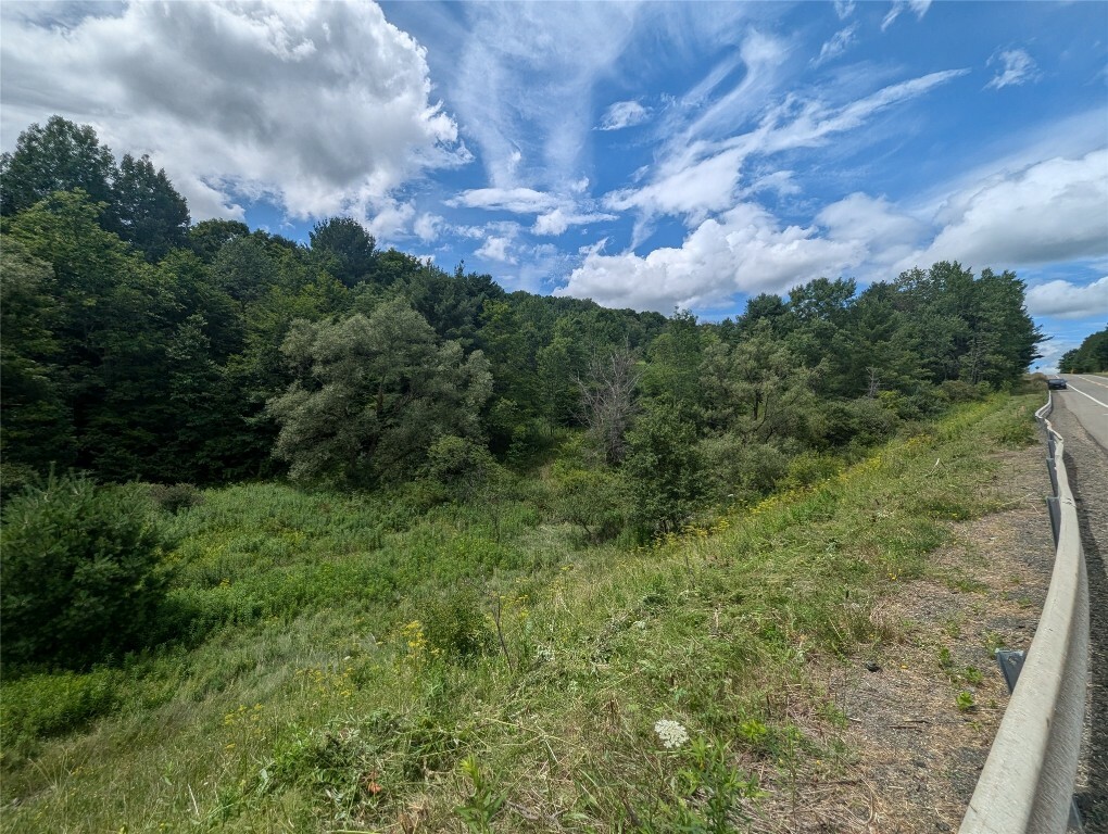 Property Photo:  4095 Nys Rte 79  NY 13787 