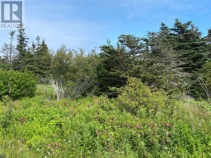 Property Photo:  0 McNamara Crescent  NL A0A 2M0 