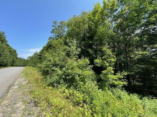 Property Photo:  Lot 68 Shore Road  NY 12783 