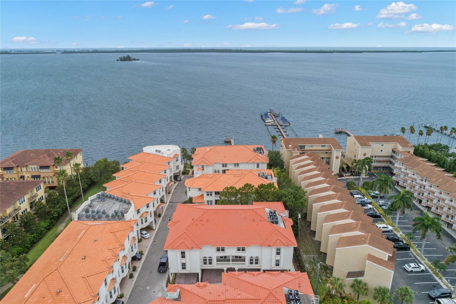 Property Photo:  1340 Bayshore Boulevard 501  FL 34698 