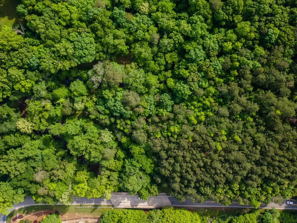 Property Photo: 4.5 Ac Hickory Flat Rd. GA 30188
